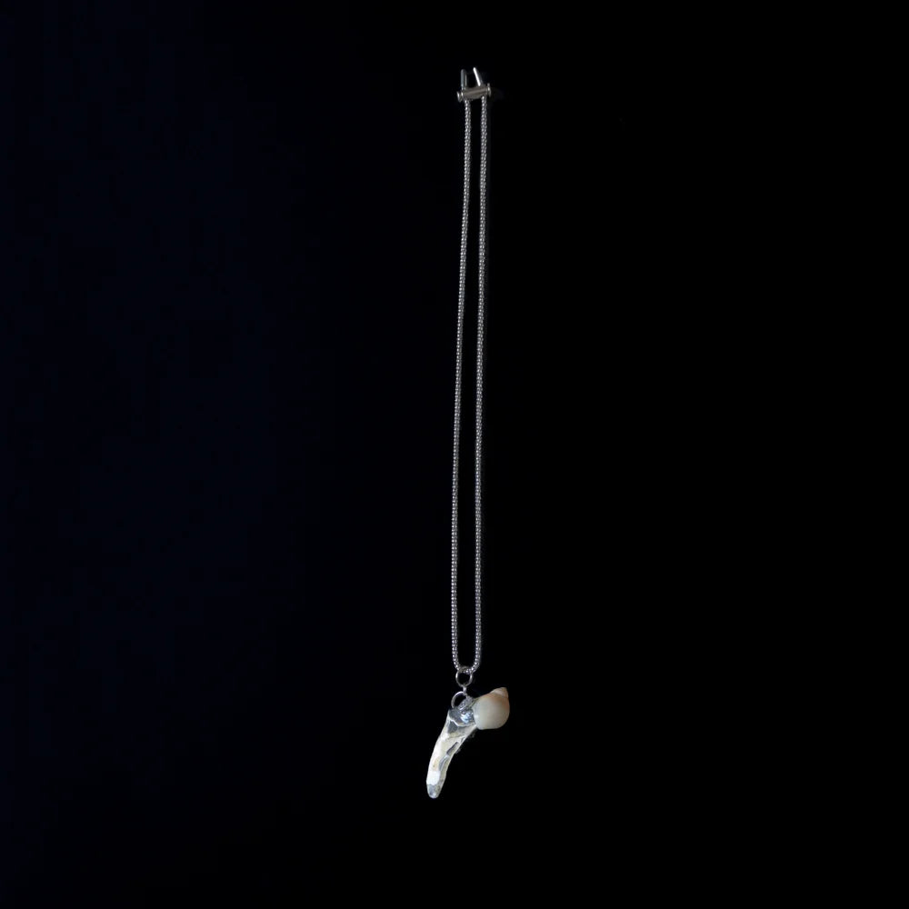 Seashell Necklace 01