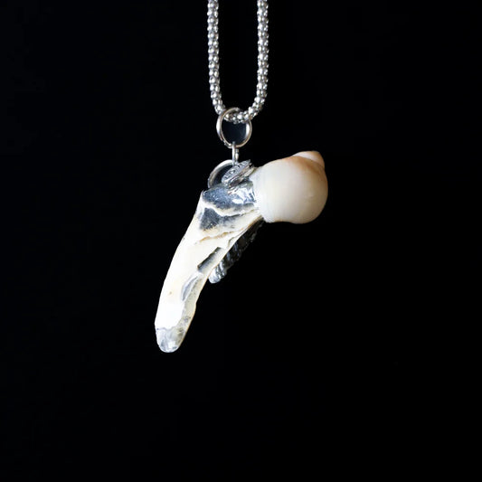 Seashell Necklace 01