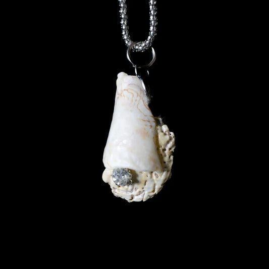 Seashell Necklace 04
