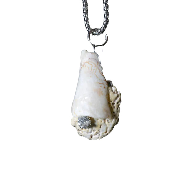 Seashell Necklace 04