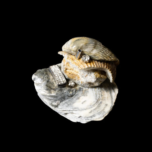 Seashell Incense Holder 02