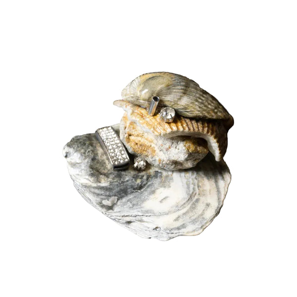 Seashell Incense Holder 02