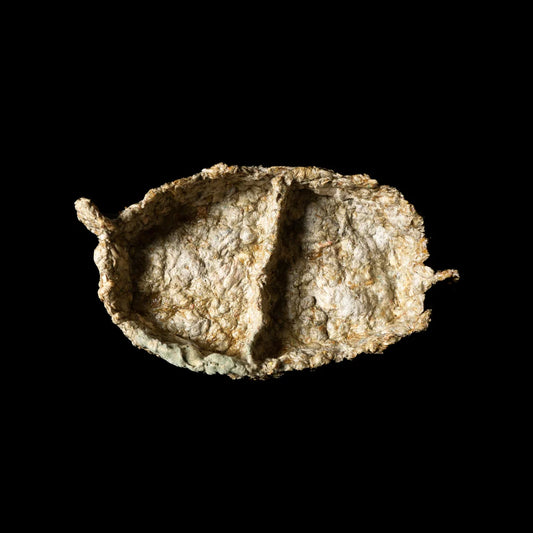 Wing Container 02