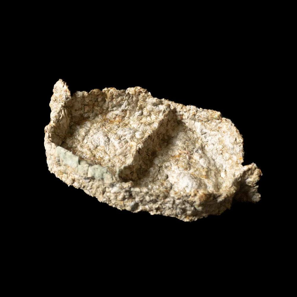 Wing Container 02